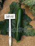 3406——西葫芦种子
